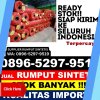 Jual Rumput Plastik Rambah Hilir.jpg