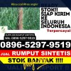 Penjual Rumput Imitasi Mantangai.jpg