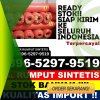 Distributor Rumput Sintetis Tenggulun.jpg