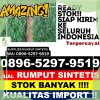 Grosir Rumput Sintetis Medan Amplas.jpg