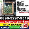 Pusat Rumput Imitasi Batang Merangin.jpg