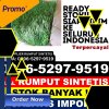 Distributor Rumput Imitasi Jujuhan.jpg