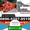 Jual Rumput Plastik Renah Mendaluh.jpg