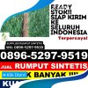 Penjual Rumput Imitasi Mauk.jpg