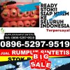 Distributor Rumput Sintetis Tobelo Timur.jpg