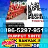 Jual Rumput Plastik Rundeng.jpg