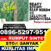 Penjual Rumput Imitasi Mekar Baru.jpg