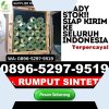 Penjual Rumput Plastik Cempaga Hulu.jpg