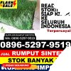 Distributor Rumput Imitasi Kabupaten Cianjur.jpg