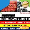 Agen Rumput Imitasi Senen.jpg