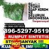 Distributor Rumput Imitasi Kabupaten Kapuas.jpg