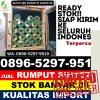 Penjual Rumput Plastik Cibiru.jpg