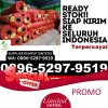 Jual Rumput Plastik Sapeken.jpg