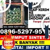 Penjual Rumput Plastik Cijulang.jpg