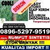 Penjual Rumput Imitasi Morotai Utara.jpg