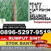 Grosir Rumput Sintetis Nagrak.jpg