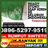 Distributor Rumput Imitasi Kabupaten Murung Raya.jpg