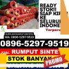 Jual Rumput Plastik Sedan.jpg