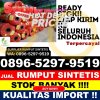 Jual Rumput Plastik Sekupang.jpg