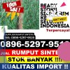 Penjual Rumput Imitasi Mustikajaya.jpg