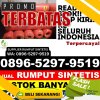 Distributor Rumput Palsu Suliki.jpg