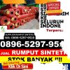 Jual Rumput Imitasi Plampang.jpg