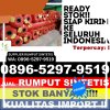 Penjual Rumput Imitasi Ngablak.jpg