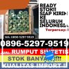 Grosir Rumput Imitasi Abab.jpg