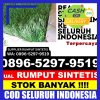 Agen Rumput Plastik Kabupaten Pacitan.jpg