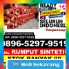 Jual Rumput Imitasi Pubian.jpg