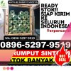 Penjual Rumput Plastik Danau Kembar.jpg