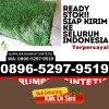 Agen Rumput Plastik Kabupaten Tana Toraja.jpg