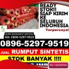 Jual Rumput Imitasi Pulau Panggung.jpg