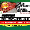 Penjual Rumput Imitasi Padangsidimpuan Angkola Julu.jpg