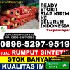 Grosir Rumput Sintetis Paloh.jpg