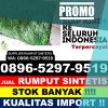 Agen Rumput Plastik Kahayan Hulu Utara.jpg