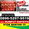 Jual Rumput Plastik Silima Pungga Pungga.jpg