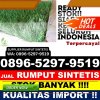 Penjual Rumput Plastik Donggo.jpg