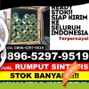 Grosir Rumput Imitasi Bacan Selatan.jpg