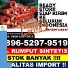 Grosir Rumput Sintetis Pancur Batu.jpg