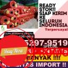 Jual Rumput Imitasi Rantau.jpg