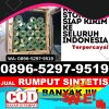 Pusat Rumput Imitasi Cimalaka.jpg