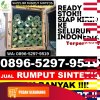 Pusat Rumput Plastik Balikpapan Barat.jpg