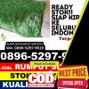 Agen Rumput Plastik Karangbinangun.jpg