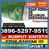 Penjual Rumput Plastik Ganding.jpg