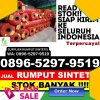 Penjual Rumput Imitasi Pangkalan Kuras.jpg