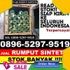 Grosir Rumput Imitasi Bangorejo.jpg