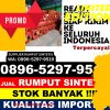 Jual Rumput Imitasi Rowokangkung.jpg