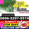 Distributor Rumput Imitasi Keliling Danau.jpg