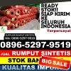 Penjual Rumput Imitasi Parado.jpg